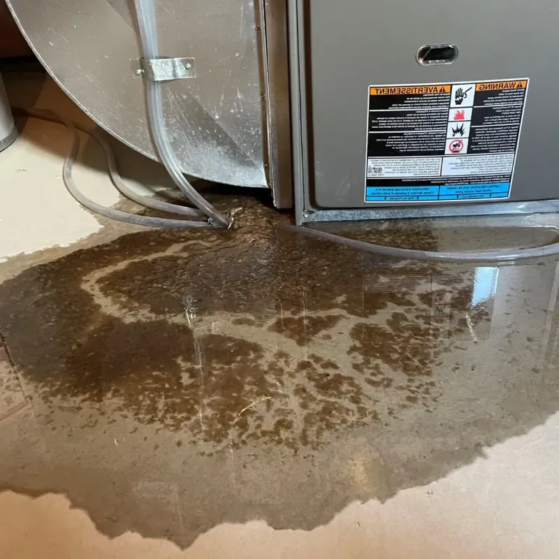 Pipe Burst and Leak Restoration in Burr Ridge, IL