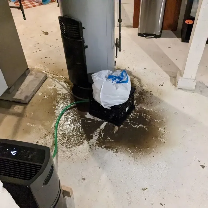 Sewage Backup Cleanup Service in Burr Ridge, IL